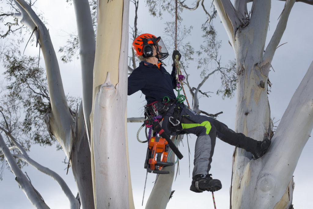 Zero chainsaw pants