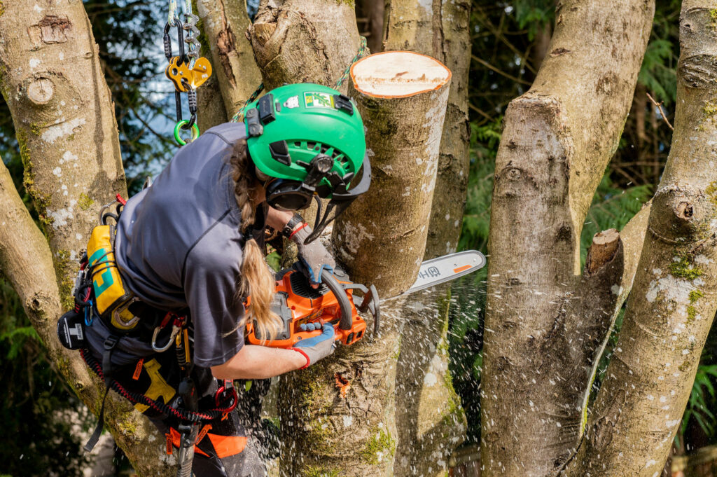 18 Top Mistakes when Choosing, Using and Caring for Chainsaw Chaps