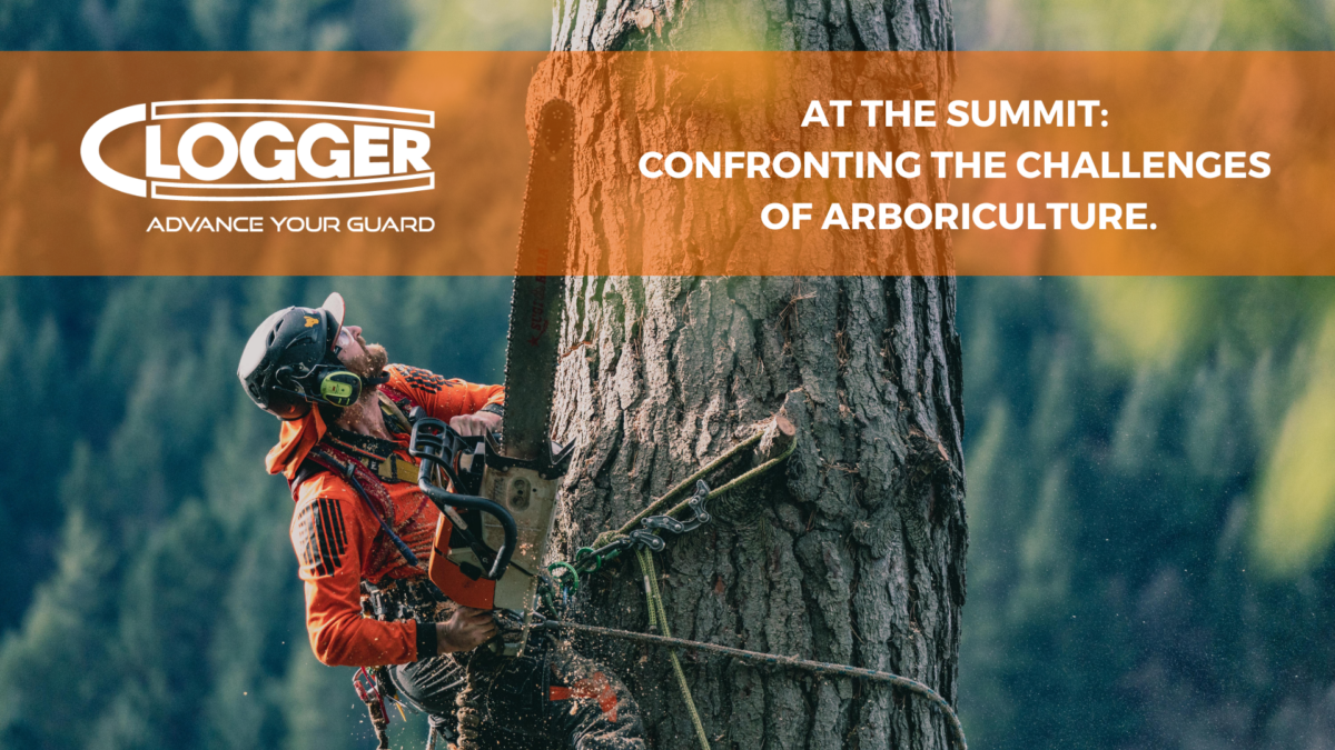 Understanding Fatigue in Arborists’ Lives: More Than Just Working with Trees
